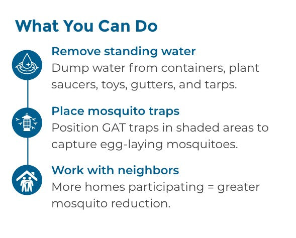Mosquito Control