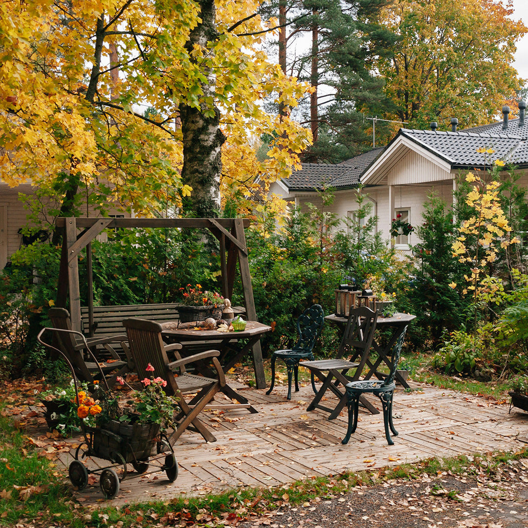 Proven Tips to Repel and Kill Mosquitoes (No Gimmicks, Just Results)