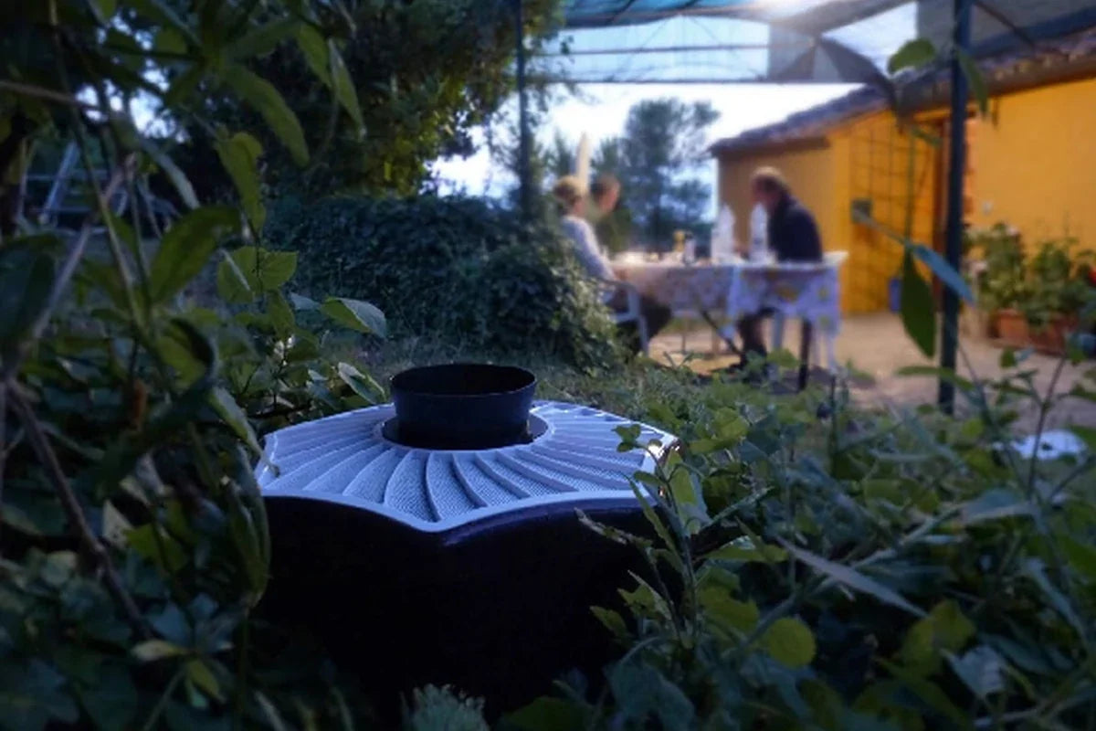 BG-Mosquitaire mosquito trap set well back in the planting, away from the table. The distance is what lets it catch them on the way in.