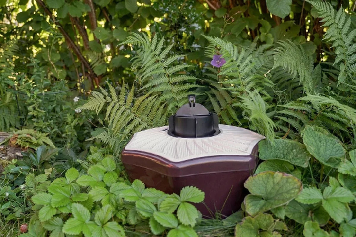 Outdoor mosquito trap surrounded by garden foliage