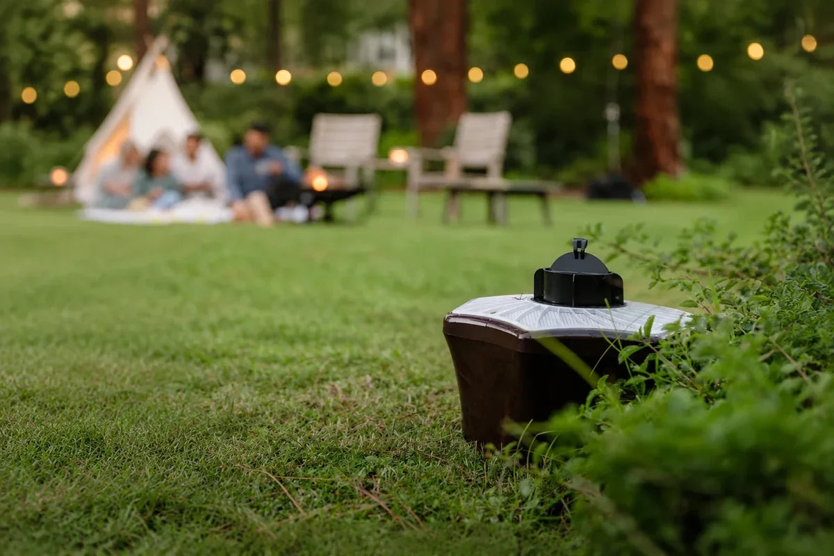 Mosquitaire mosquito trap on grass beside leafy planting, with people gathered in the background