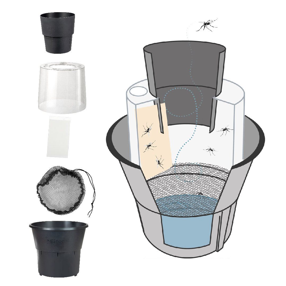 Mosquito trap assembly diagram showing component parts and mosquito capture process.