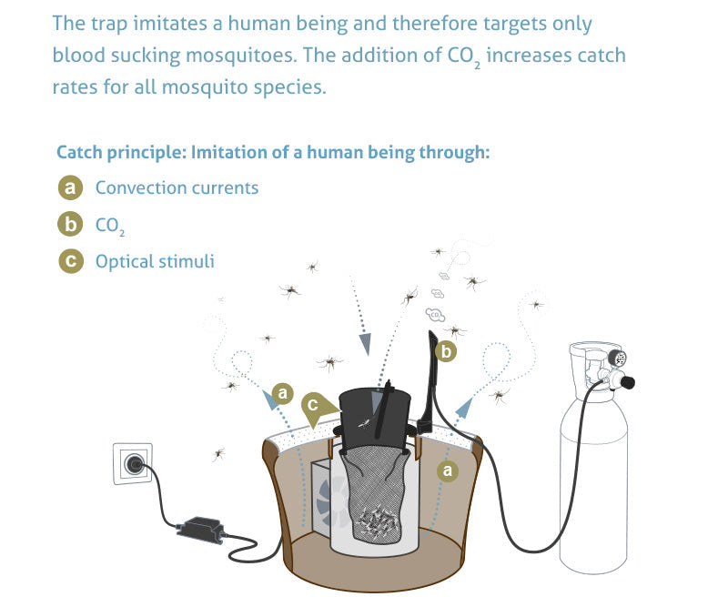 BG-Mosquitaire CO2 Outdoor Mosquito Trap Bundle