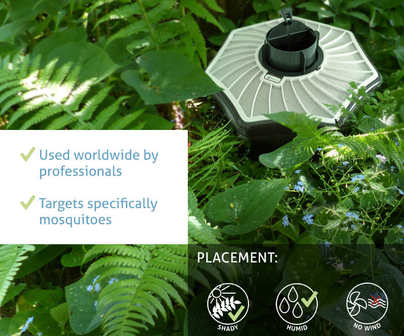 BG-Mosquitaire Mosquito Trap Double Set