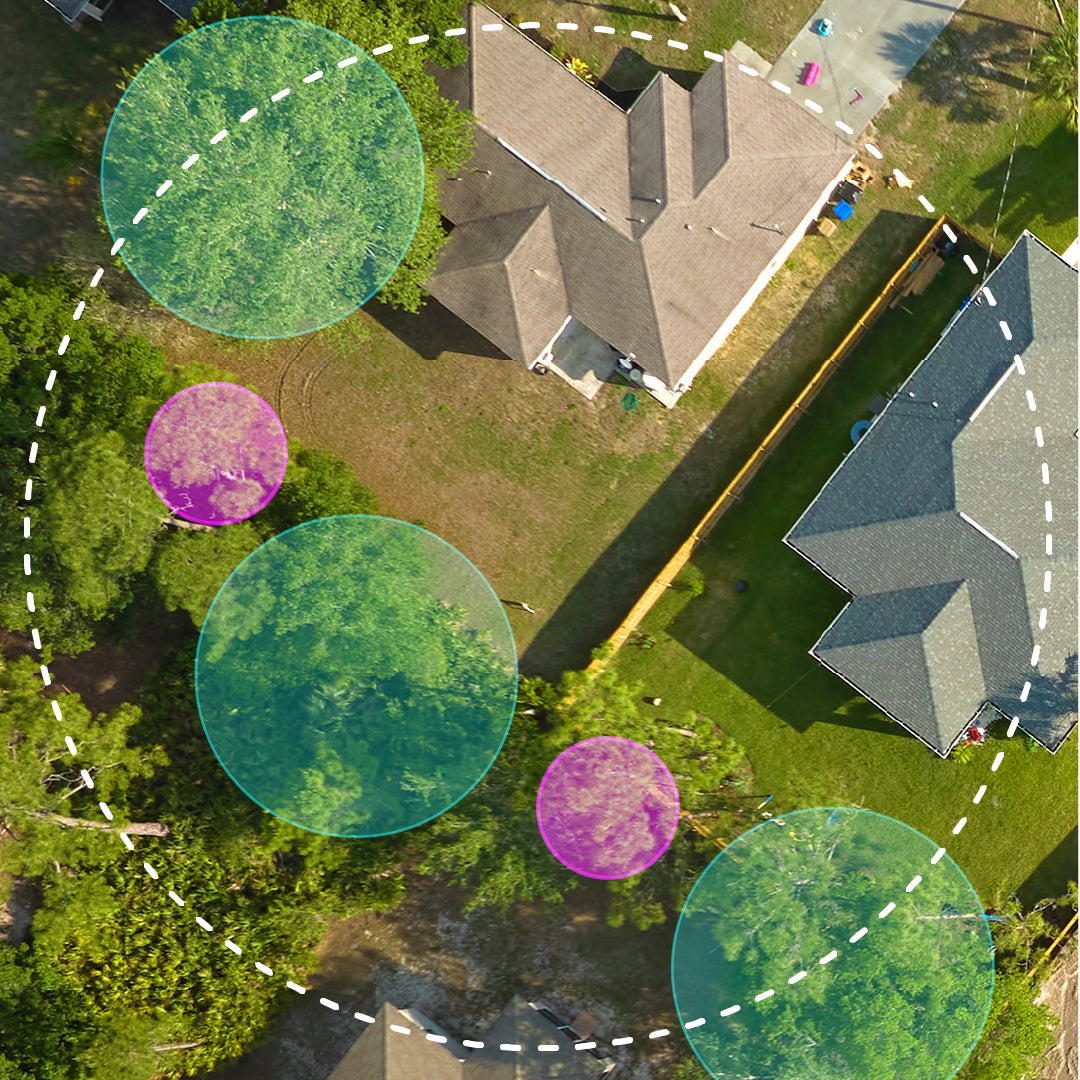 Aerial view of a house with a backyard, surrounded by trees and colorful circular overlays, representing mosquito trap reach