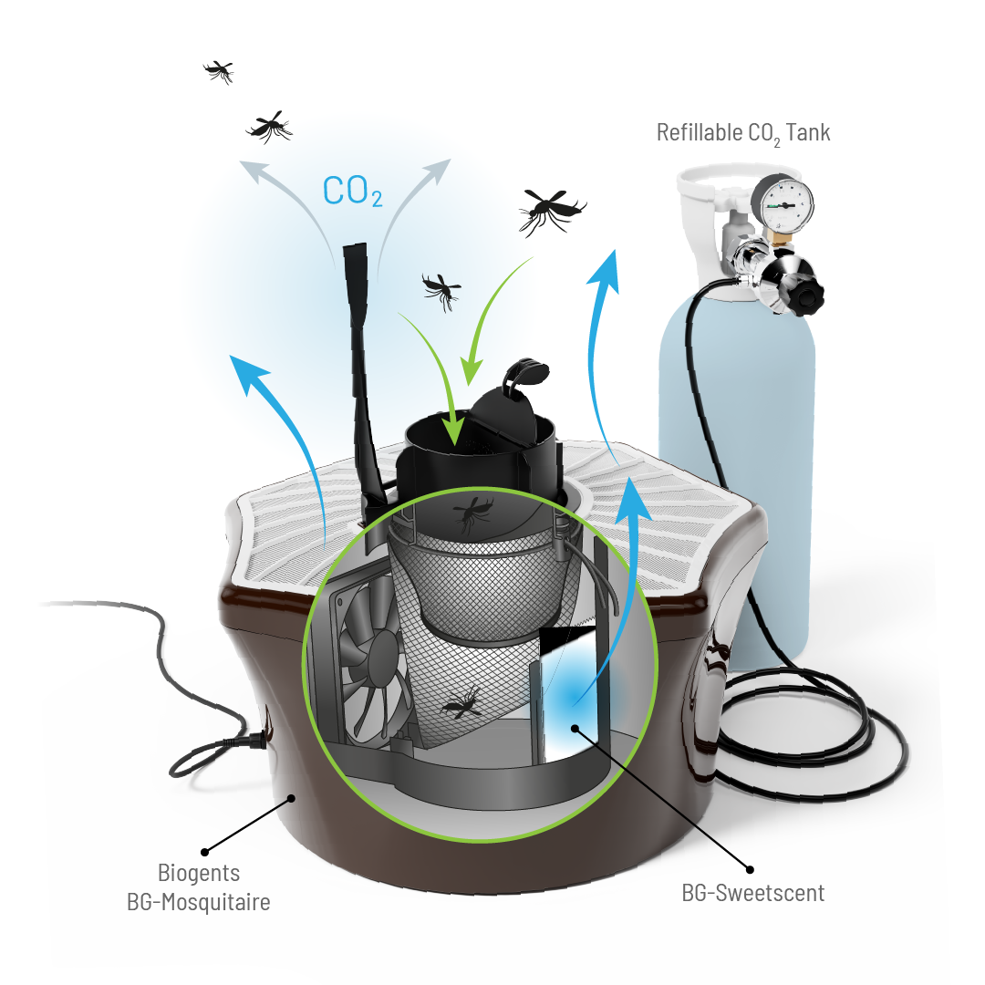 Mosquito trap system with Biogents BG-Mosquitaire and BG-Sweetscent, showcasing a refillable CO2 tank releasing carbon dioxide to attract mosquitoes, with a fan and netting trapping insects effectively.