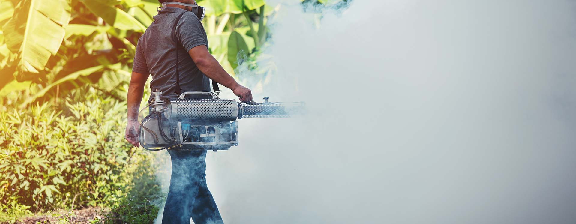 Worker in protective gear using a fogging machine to spray pesticide in a garden with green foliage in the background.