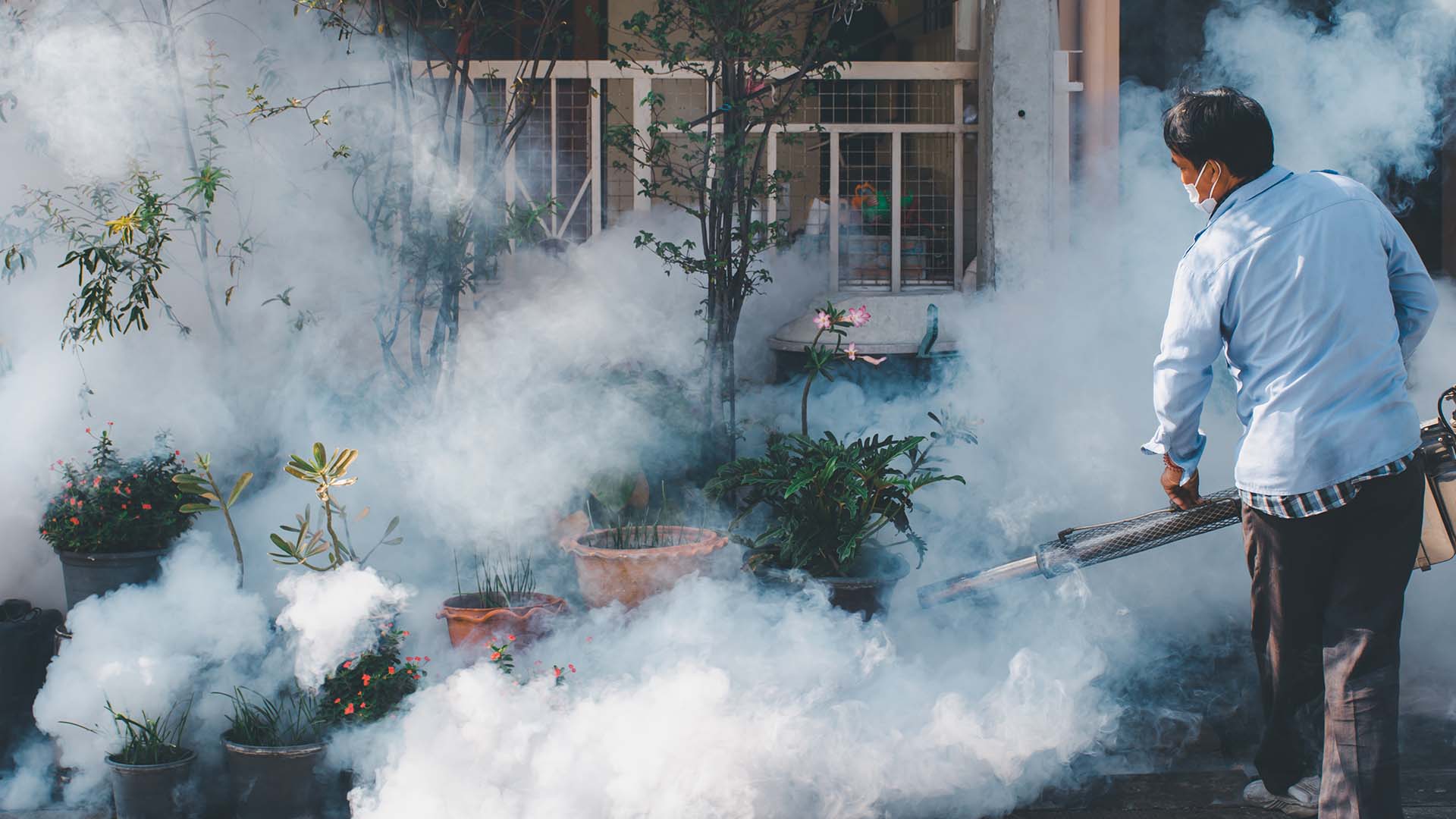 Person wearing a mask fogging a garden area with smoke for pest control among potted plants.