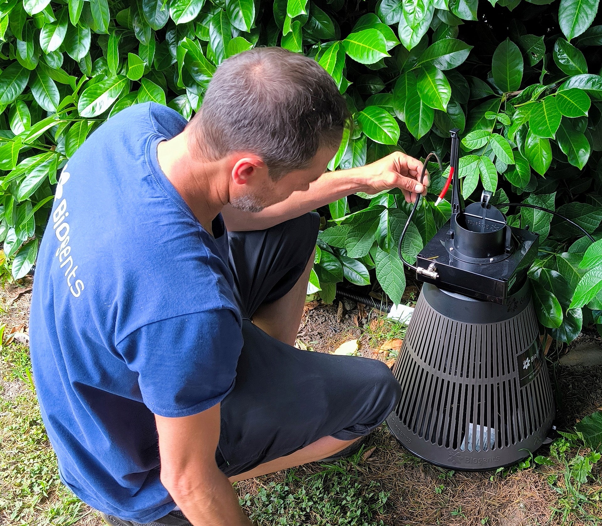 A man inspecting a black mosquito trap device amidst green foliage.
