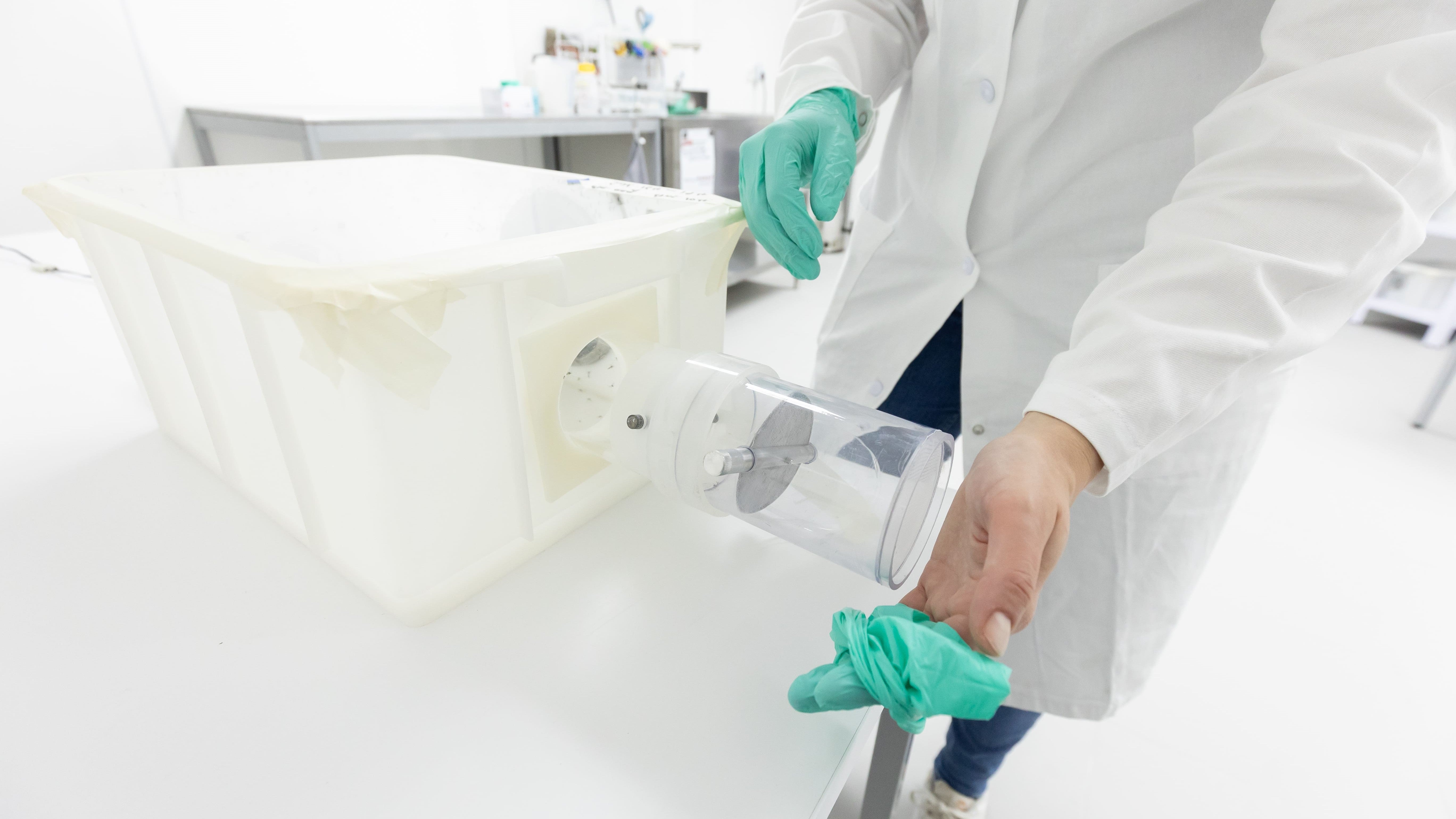 Scientist in a laboratory setting handling a white container with a transparent apparatus, wearing a lab coat and green gloves.