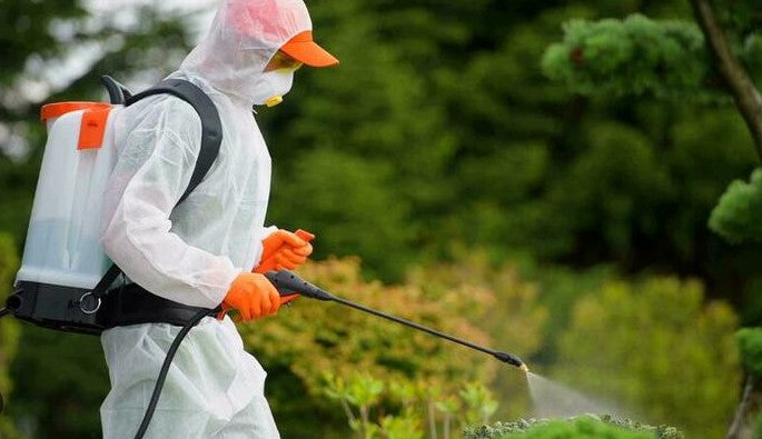 The Problem with Fogging and Fumigation