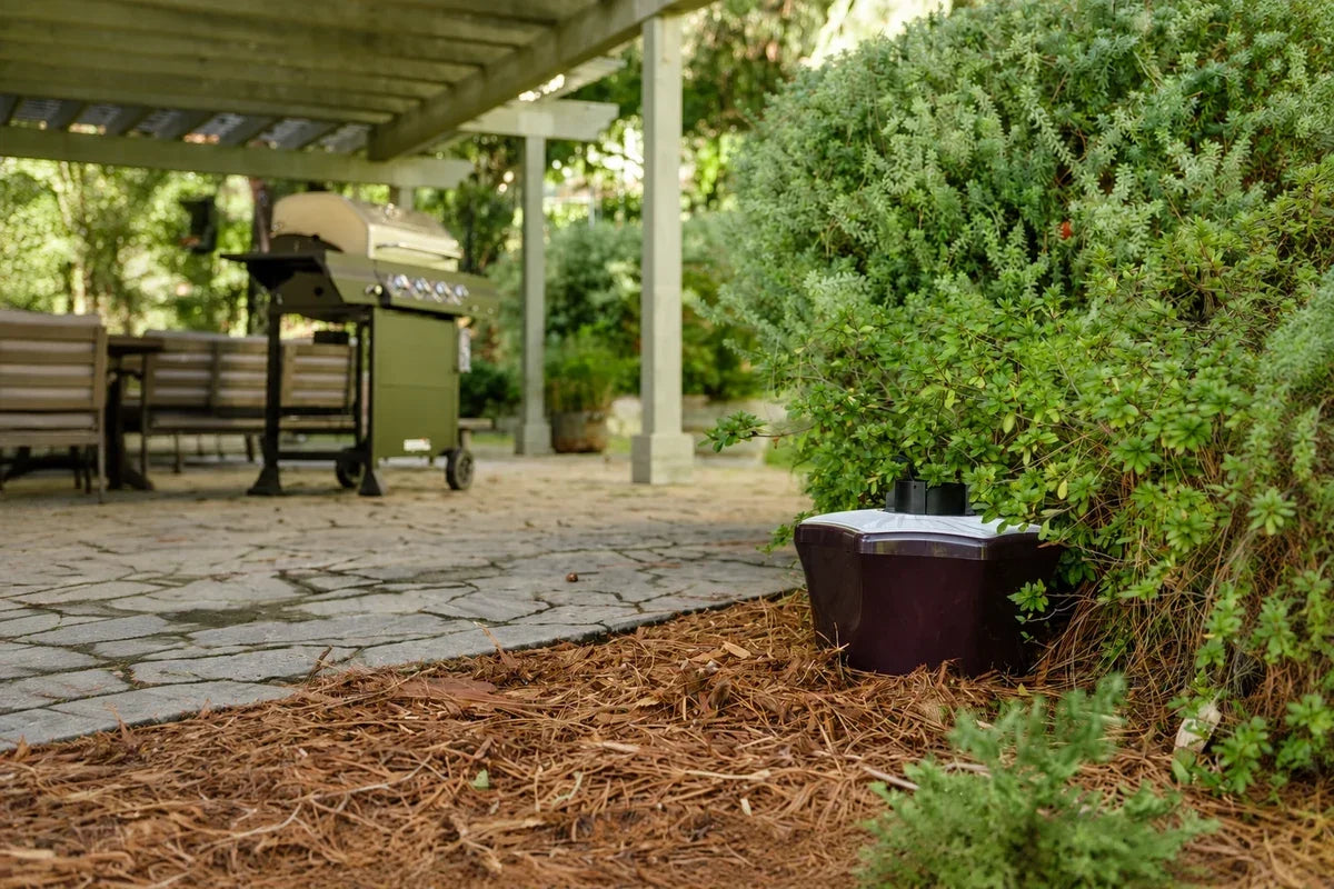 Mosquito trap positioned in dense planting beside a paved patio, with a grill area in the background