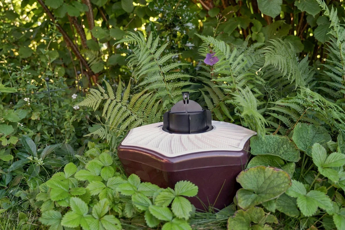 Dark burgundy garden device with a white ribbed top among ferns and dense foliage.
