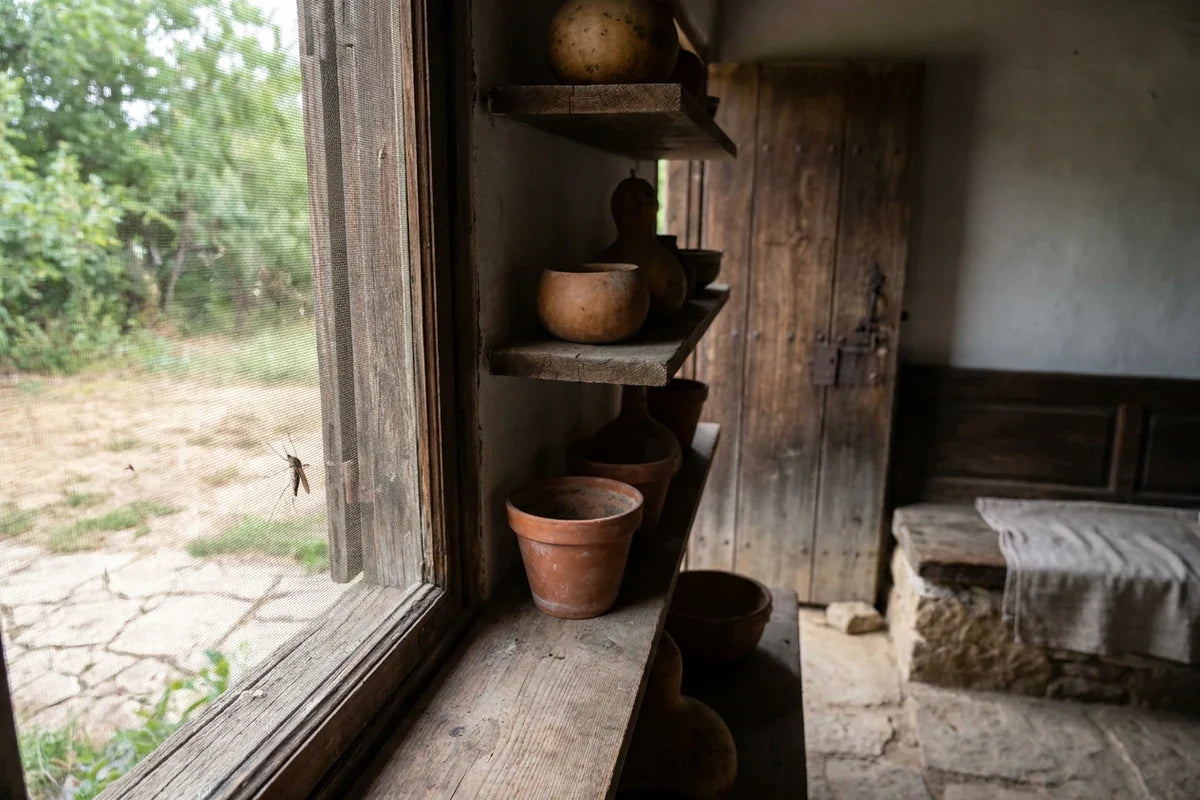 A clean, atmospheric interior close-up with a mosquito near a screened window and visual cues of dry containers, closed doors, and cool shaded resting areas; no identifiable person, packaging, or branding.