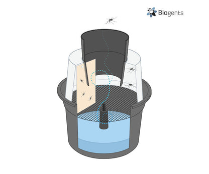 BG-GAT Mosquito Trap Neighborhood Set (12x)