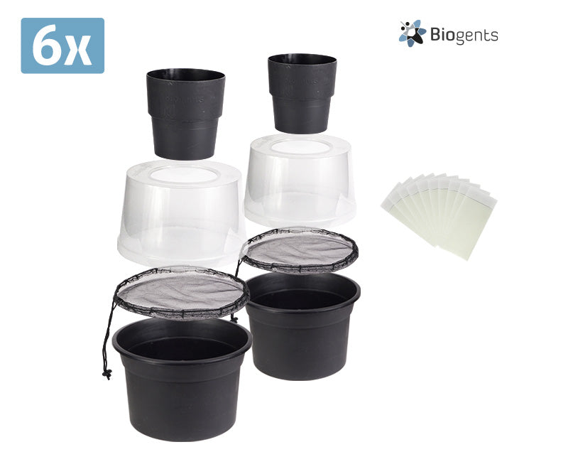 BG-GAT Mosquito Trap Neighborhood Set (12x)