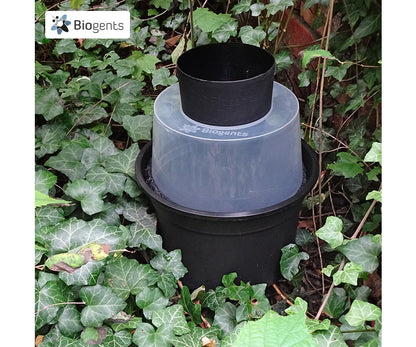 Mosquito trap from Biogents placed among lush green ivy plants in a garden setting.