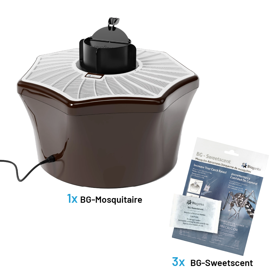 Simple Season Bundle