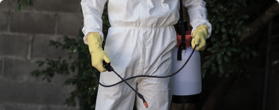 Pesticide Spraying