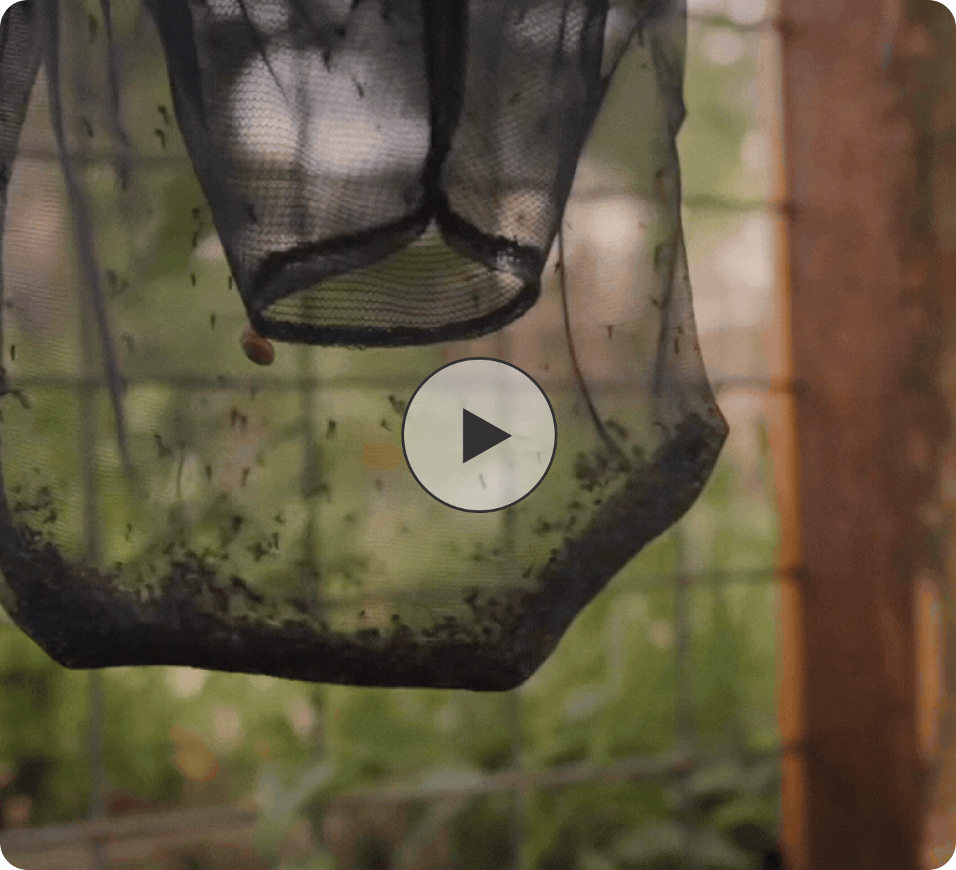 Mosquitaire Outdoor Mosquito Trap Triple Set
