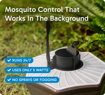 Mosquitaire Outdoor Mosquito Trap Double Set