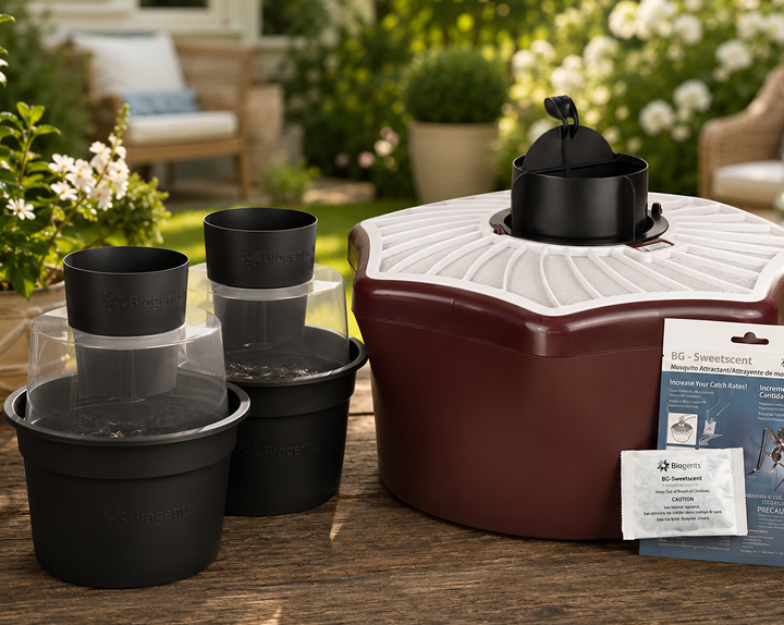 Mosquitoes Are Here. Take Back your Yard