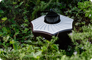 Lots of vegetation provides a protected area that mosquitoes will hang out in.