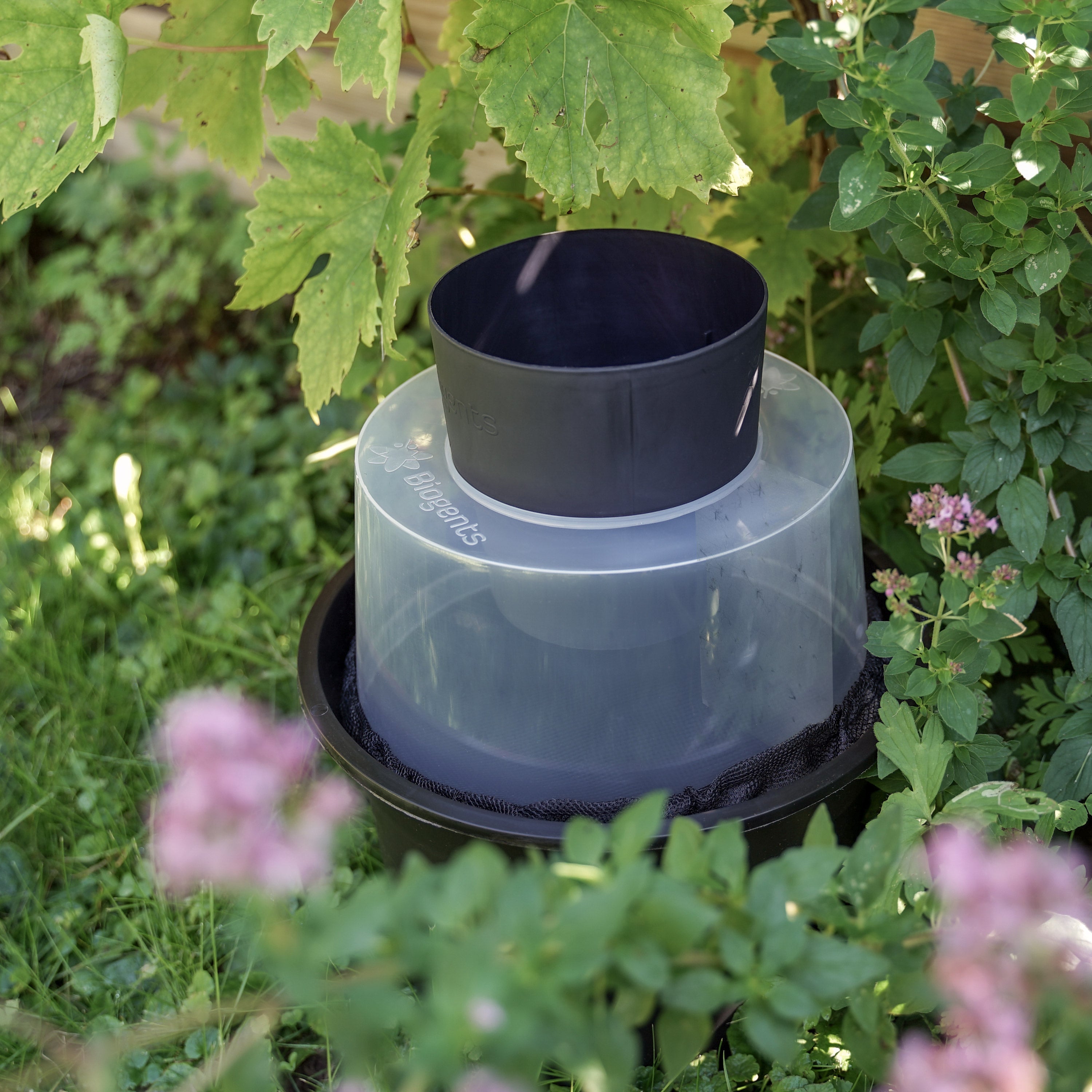 BG-GAT Mosquito Trap Neighborhood Set (12x)